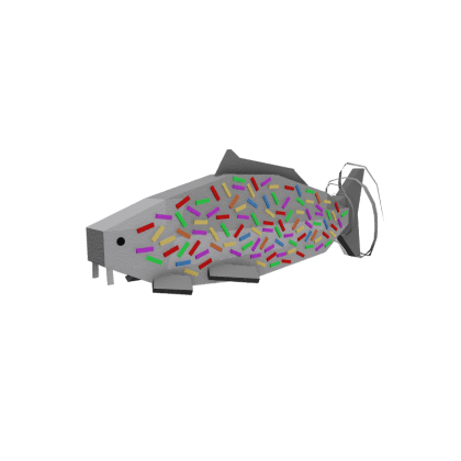 Confetti Carp