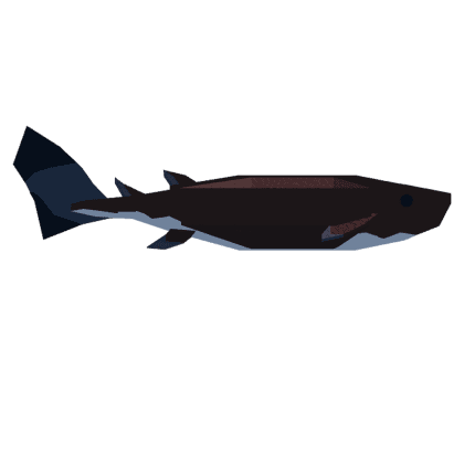 Cookiecutter Shark