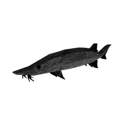 Crevice Sturgeon