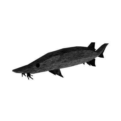 Crevice Sturgeon