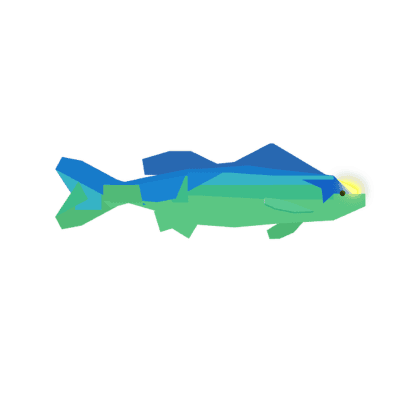 Crown Bass