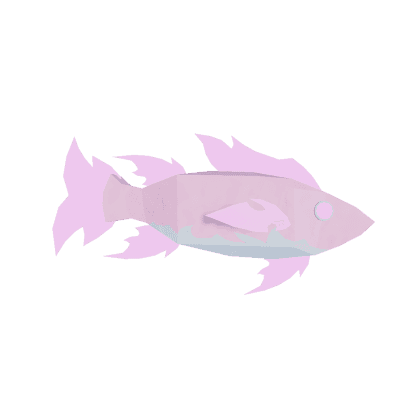 Crystal Wrasse