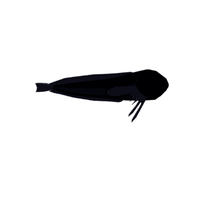 Dark Snailfish