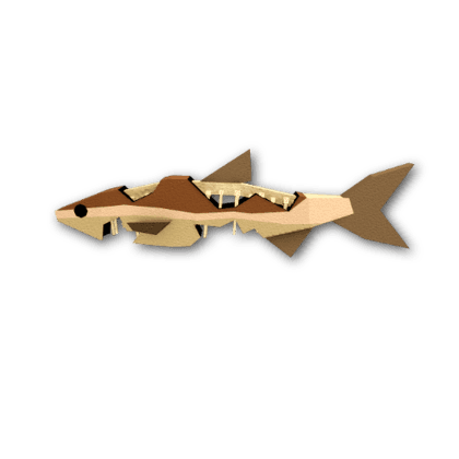 Decayed Dace