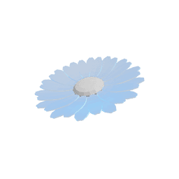 Diamond Daisy