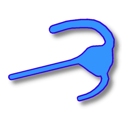 Dinoflagellates