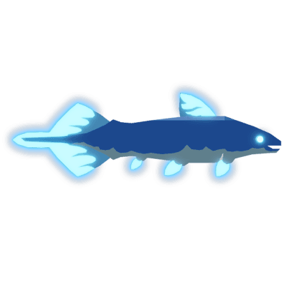 Diplurus