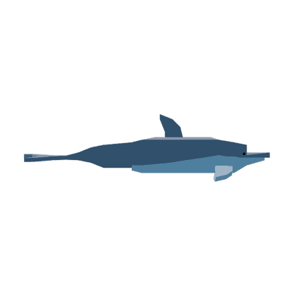Dolphin
