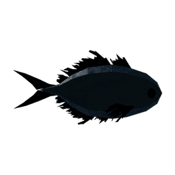 Driftfin