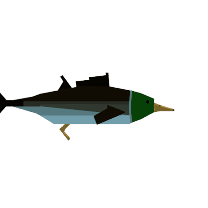 Duckfin Tuna