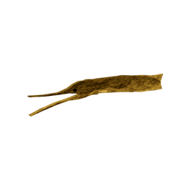 Dune-Stalker Eel