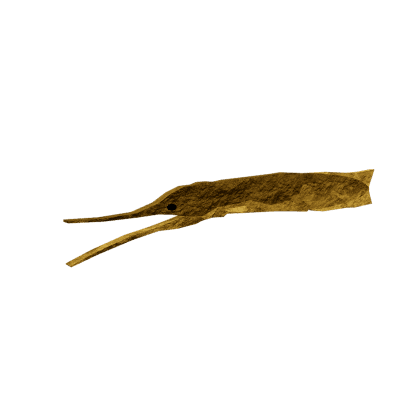 Dune-Stalker Eel