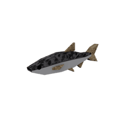 Dustscale Dace