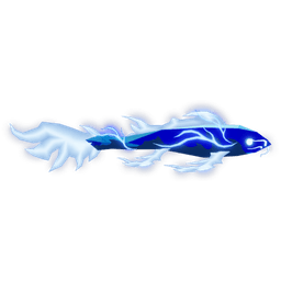 Echo Koi