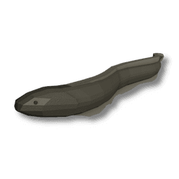 Electric Eel