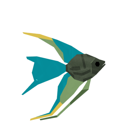 Emerald Angelfish
