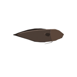 Faceless Cusk
