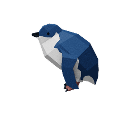 Fairy Penguin