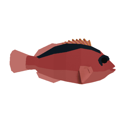 Flamekissed Hawkfish