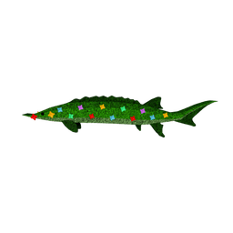 Floraseer Sturgeon