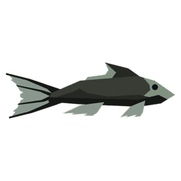 Foamrunner