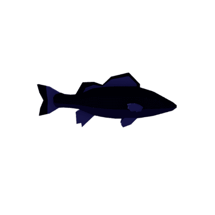 Formosa Seabass