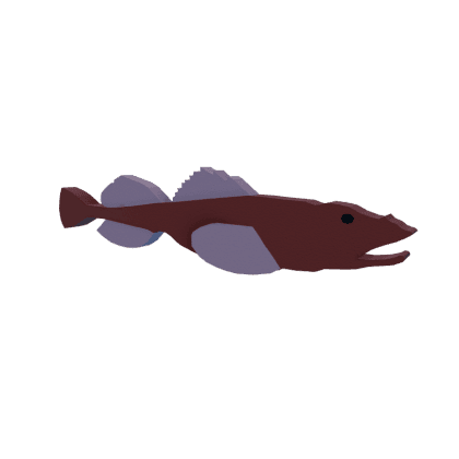 Fourhorn Sculpin
