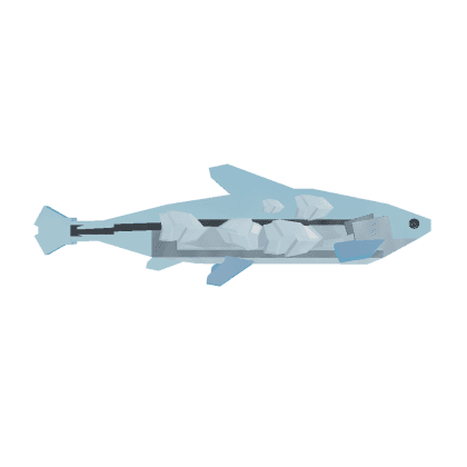 Frost Minnow