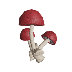 Fungal Cluster