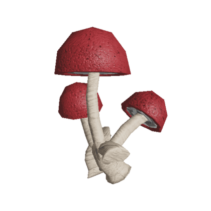 Fungal Cluster