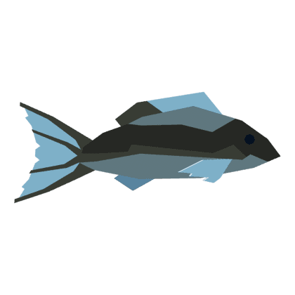 Gale Snapper