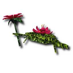 Garden Crab