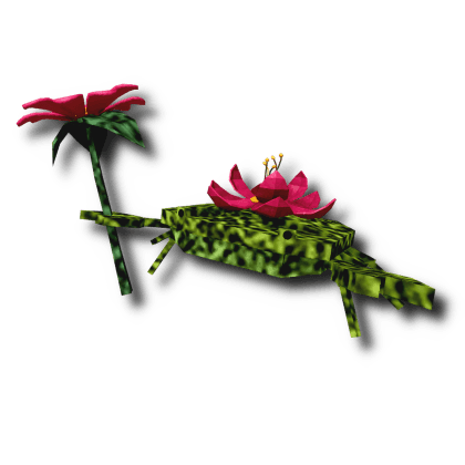 Garden Crab