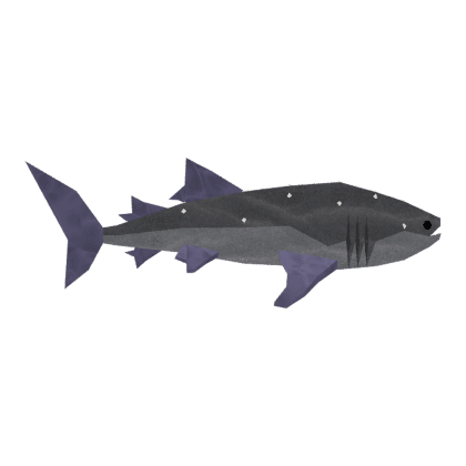 Gemstone Whale Shark