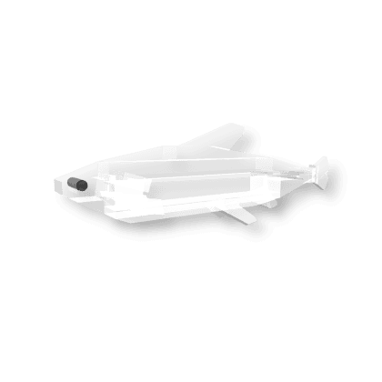 Ghost Minnow
