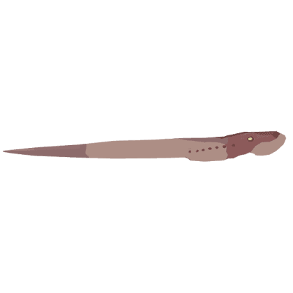 Giant Lamprey