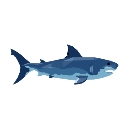 Ginsu Shark