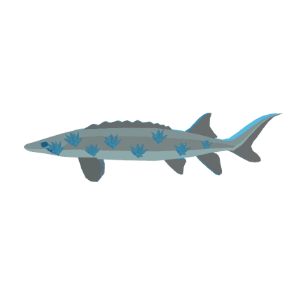Glaciaseer Sturgeon