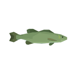 Golden Smallmouth Bass