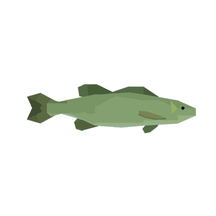 Golden Smallmouth Bass