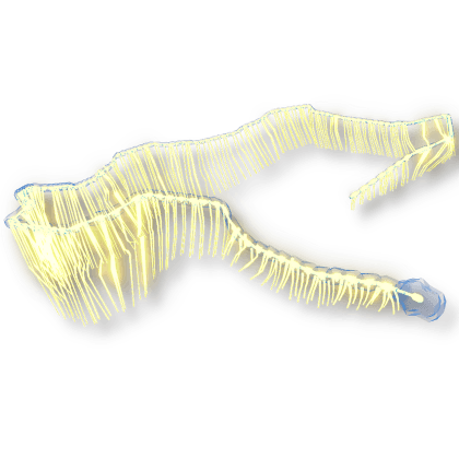 Goliath Siphonophore