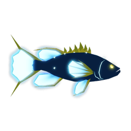Gorgon Grouper