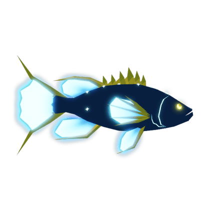Gorgon Grouper