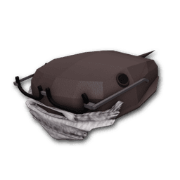 Grandpa Horseshoe Crab