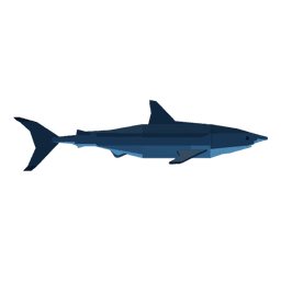 Great White Shark