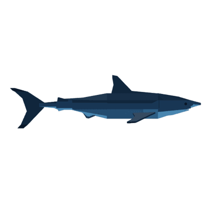 Great White Shark
