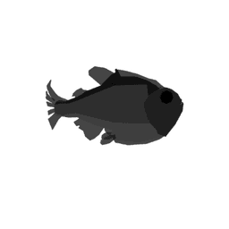 Greater Silver Hatchetfish