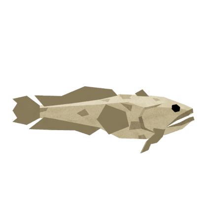 Gulf Toadfish