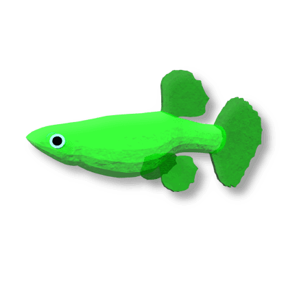 Gummy Guppy