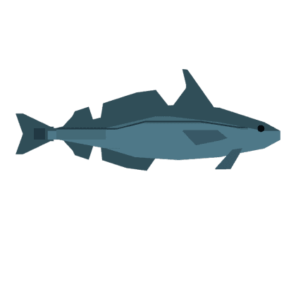 Haddock